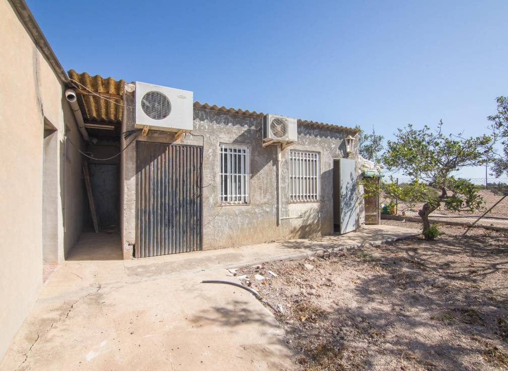 Segunda mano - Chalet - Elche Pedanías - xLas bayas