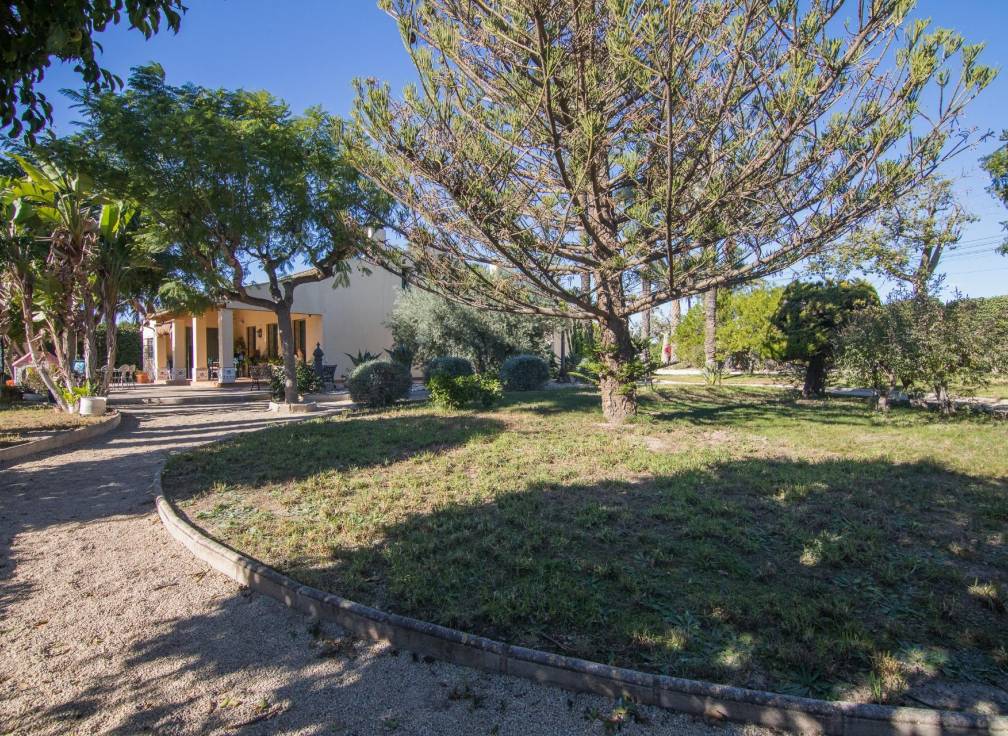 Segunda mano - Chalet - Elche - Torreta - Portalada