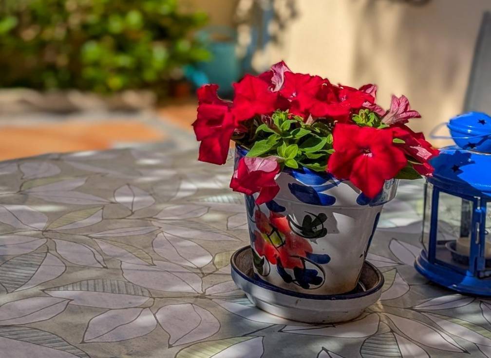 Segunda mano - Chalet - Gran alacant - El Faro