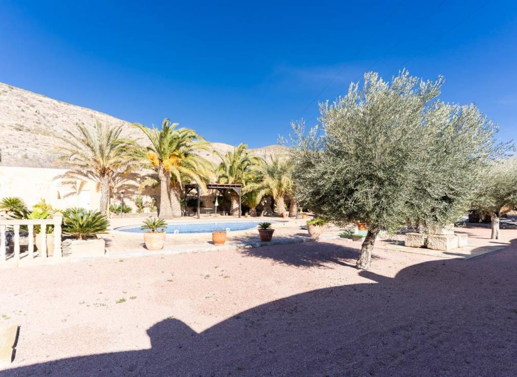 Segunda mano - Chalet - Hondón de las Nieves