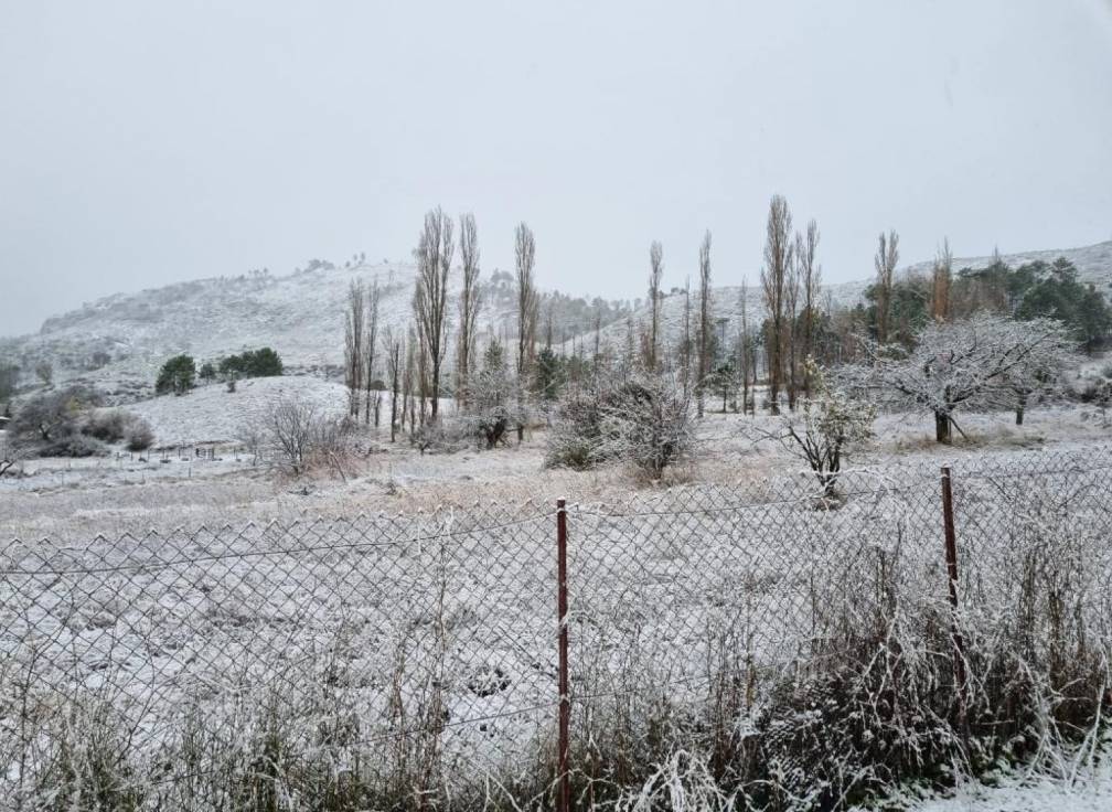 Segunda mano - Chalet - Riopar - Castilla la mancha