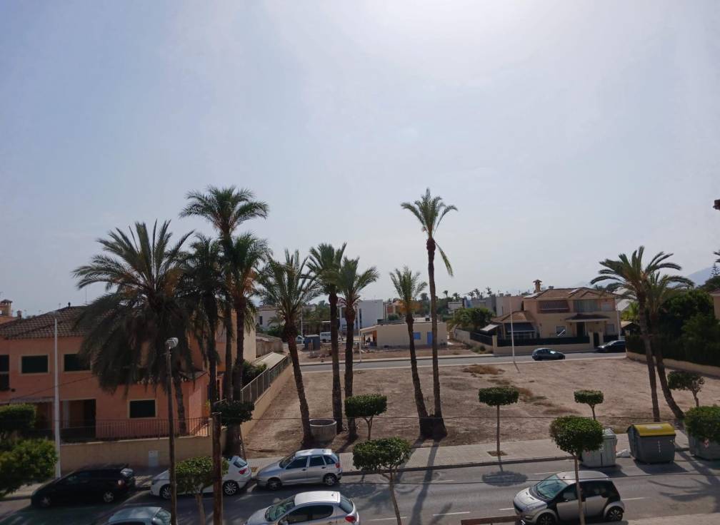 Segunda mano -  - Elche Pedanías - La Hoya