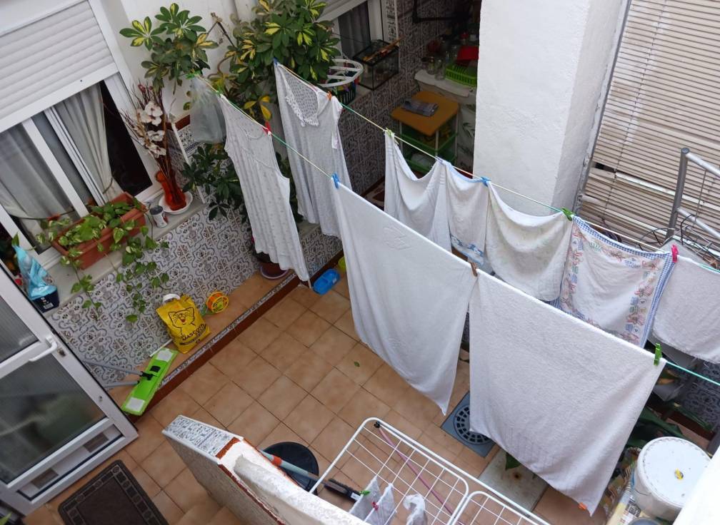 Segunda mano -  - Elche Pedanías - La Hoya