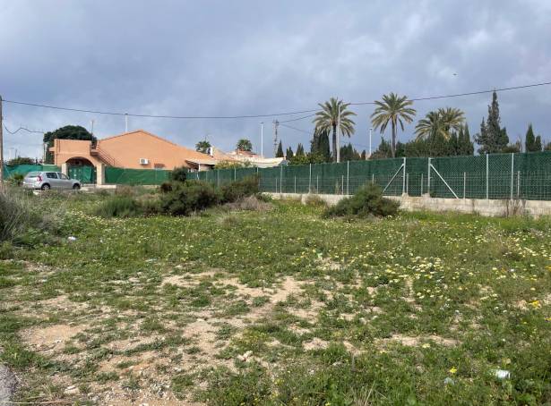  - Segunda mano - Elche Pedanías - V232