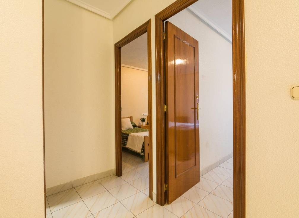 Segunda mano -  - Elche - Reina Victoria-Miguel Hernández