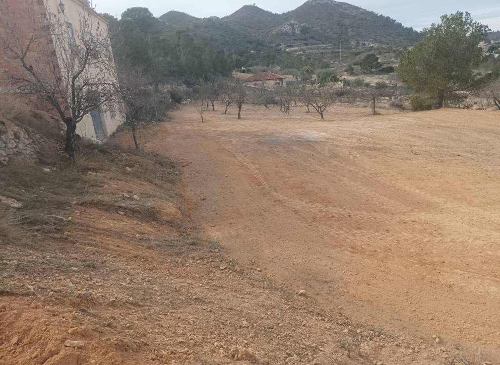 Segunda mano -  - Hondón de los Fráiles - HONDON D ELOS FRAILES ALICANTE ESPAÑA