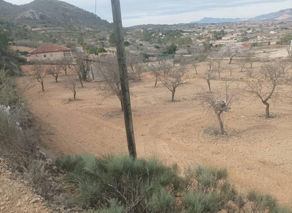 Segunda mano -  - Hondón de los Fráiles - HONDON D ELOS FRAILES ALICANTE ESPAÑA