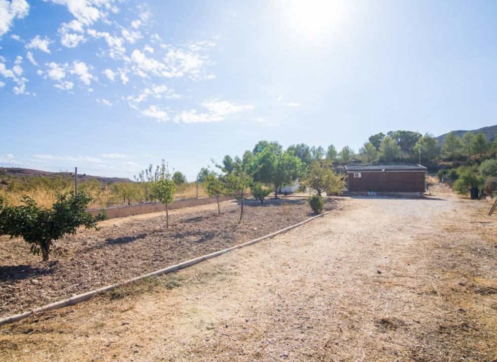 Segunda mano -  - La Romana - BOQUERA