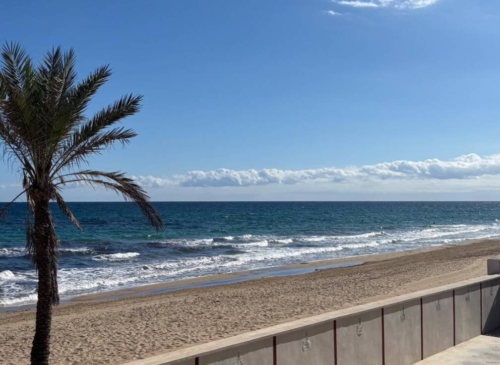 Segunda mano - Local comercial - Arenales del Sol