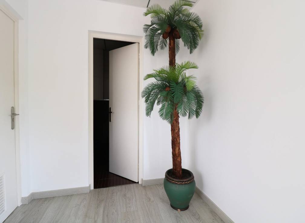 Segunda mano - Nave industrial - Elche Pedanías - Carretera del leon