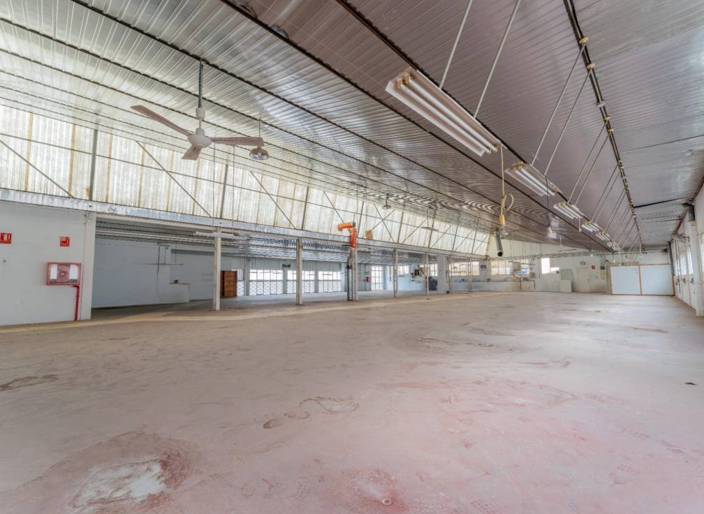 Segunda mano - Nave industrial - Elche - Toscar