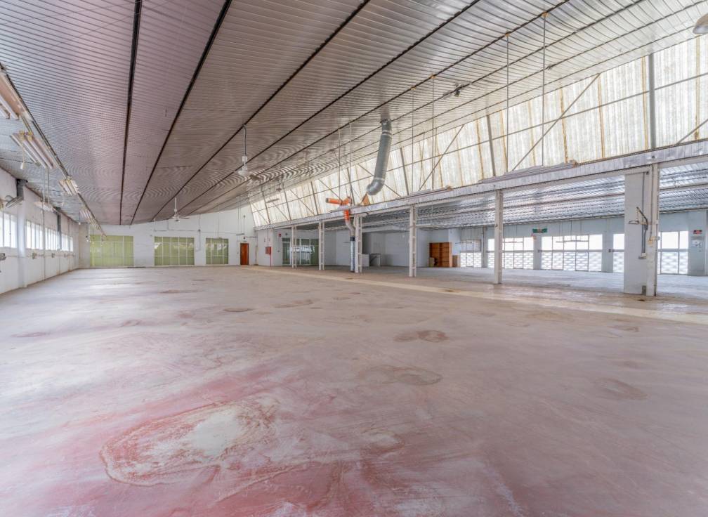 Segunda mano - Nave industrial - Elche - Toscar