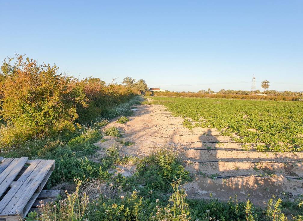 Segunda mano - Parcela - La hoya - La Hoya-Daimes-El Derramador