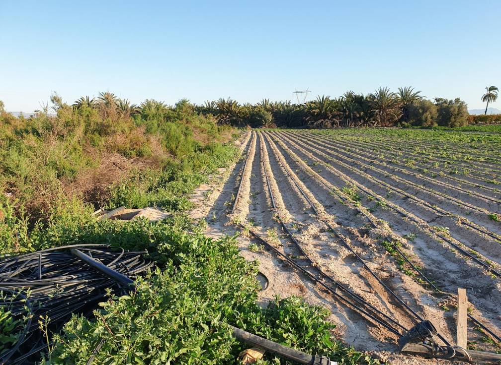 Segunda mano - Parcela - La hoya - La Hoya-Daimes-El Derramador