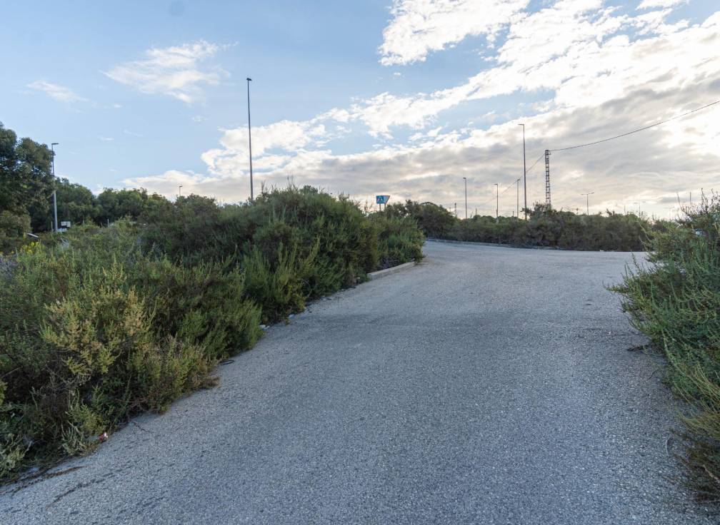 Segunda mano - Parcela - Valverde (Alicante) - Ctra de santa pola