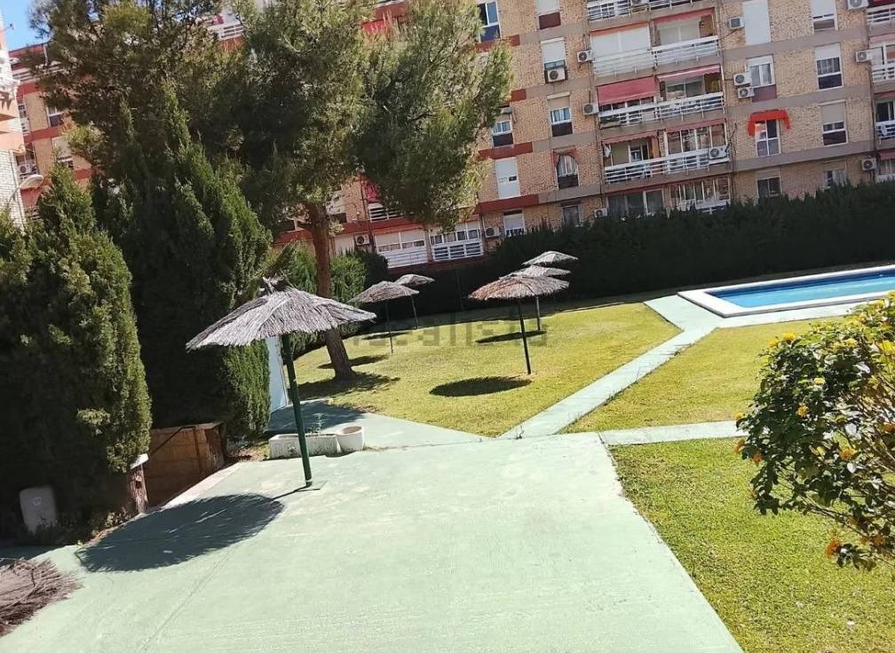 Segunda mano - Piso - Alicante - Alipark