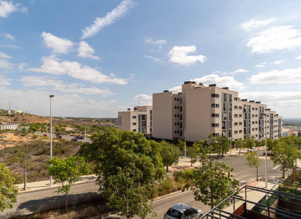 Segunda mano - Piso - Crevillent - EL PINAR