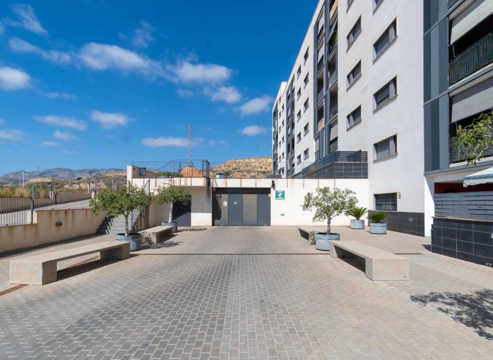 Segunda mano - Piso - Crevillent - EL PINAR