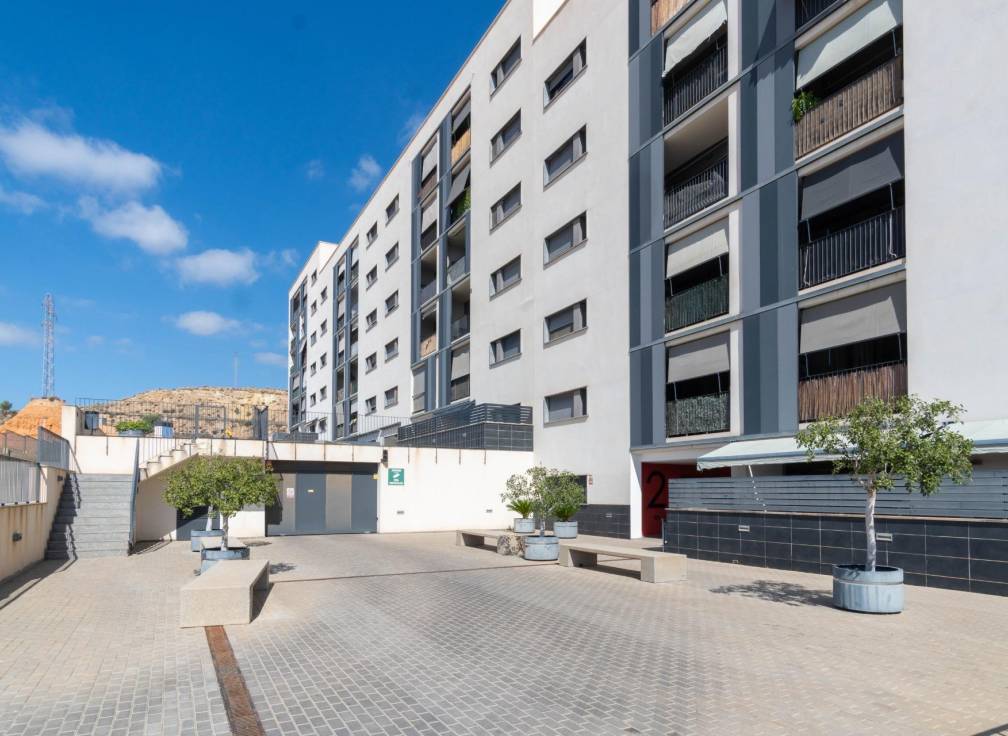 Segunda mano - Piso - Crevillent - EL PINAR