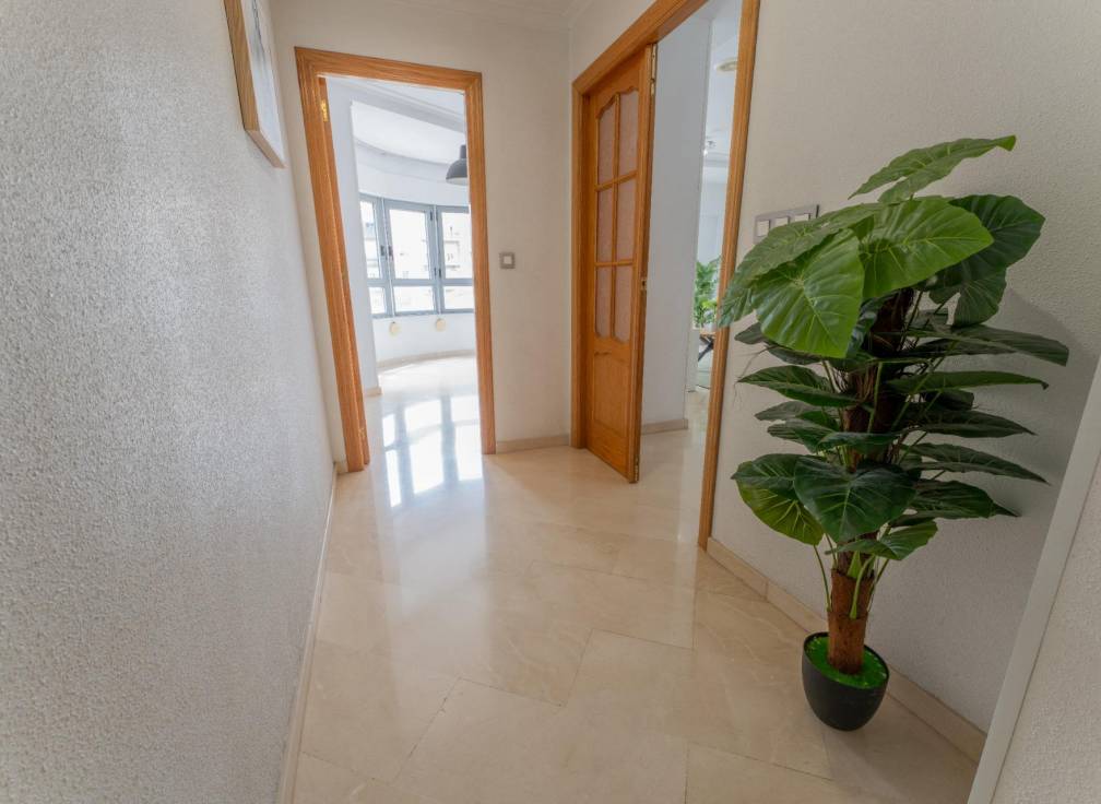 Segunda mano - Piso - Elche - Carrús Este