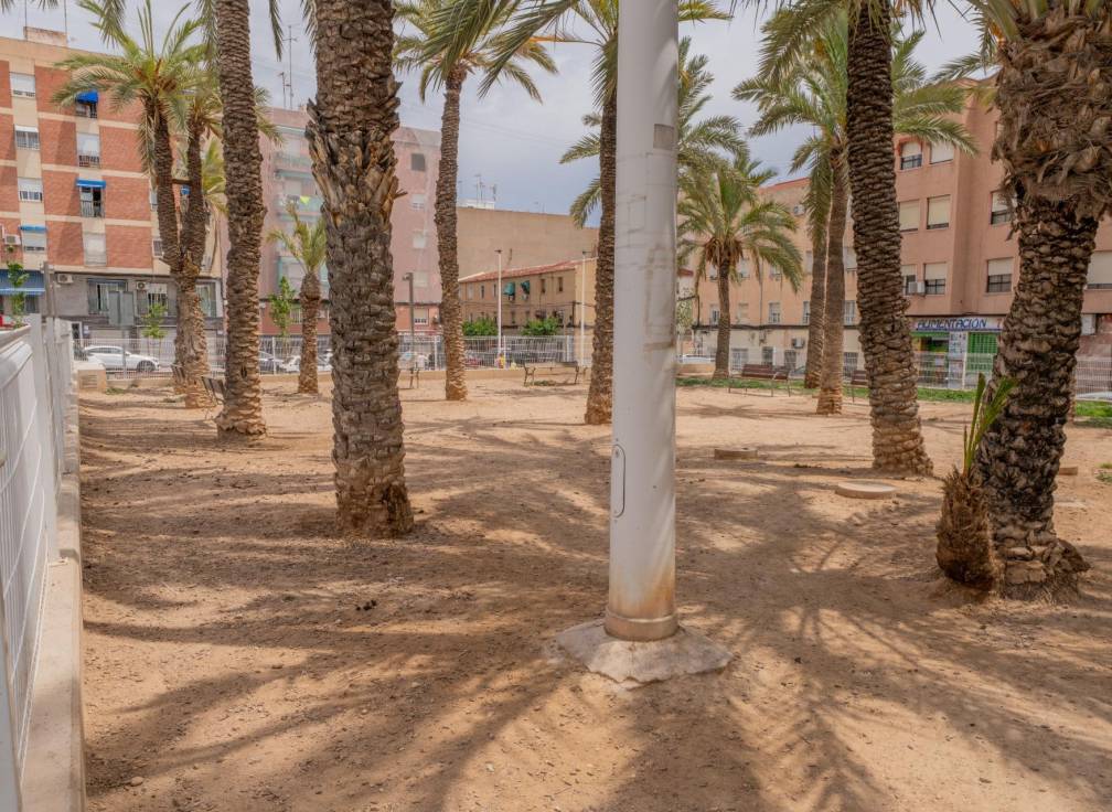 Segunda mano - Piso - Elche - Carrús Este