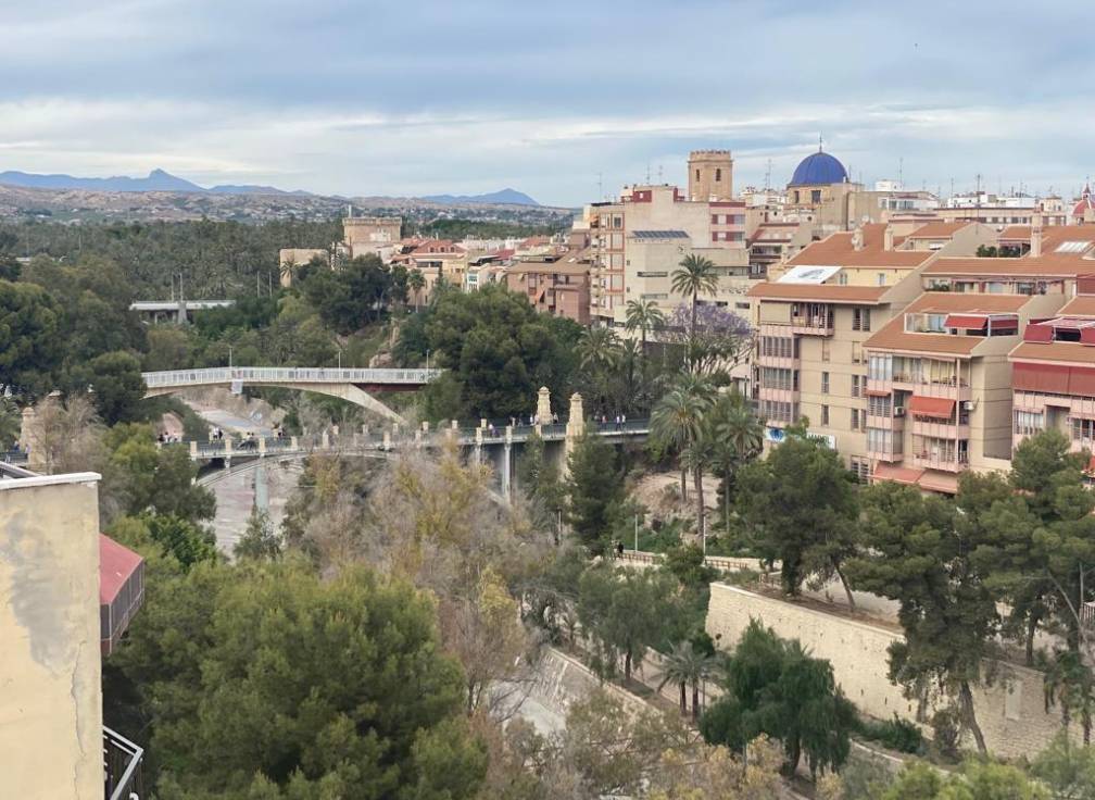 Segunda mano - Piso - Elche - Centro