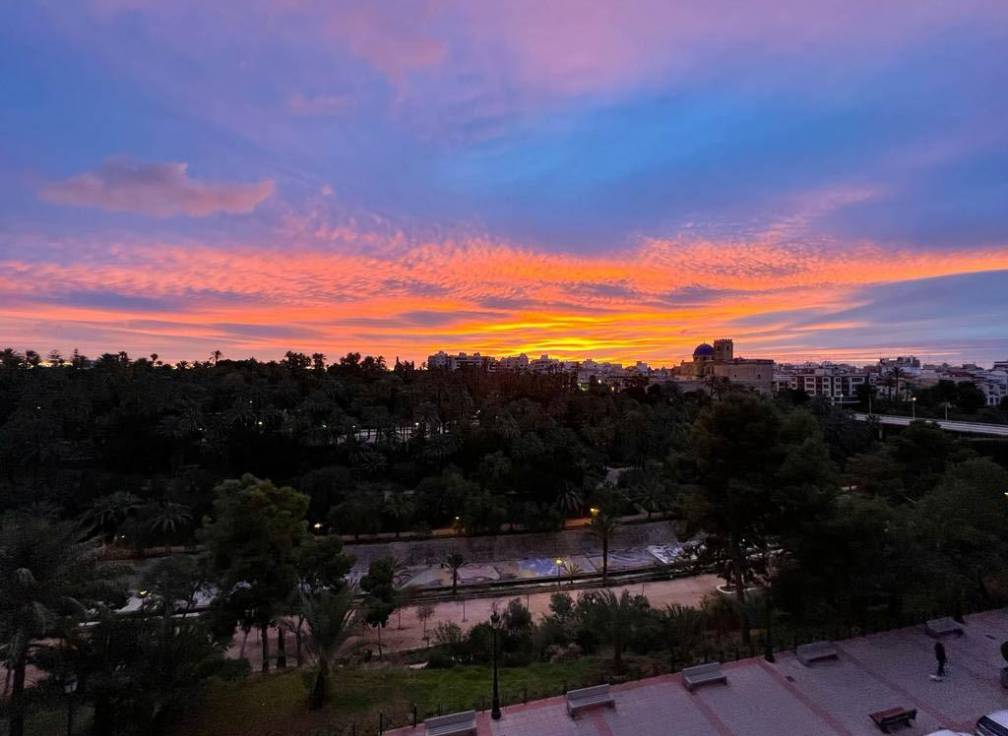 Segunda mano - Piso - Elche - Centro