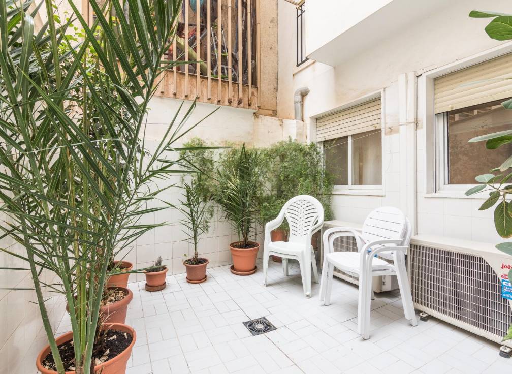 Segunda mano - Piso - Elche - Centro