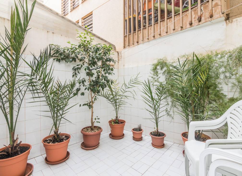 Segunda mano - Piso - Elche - Centro