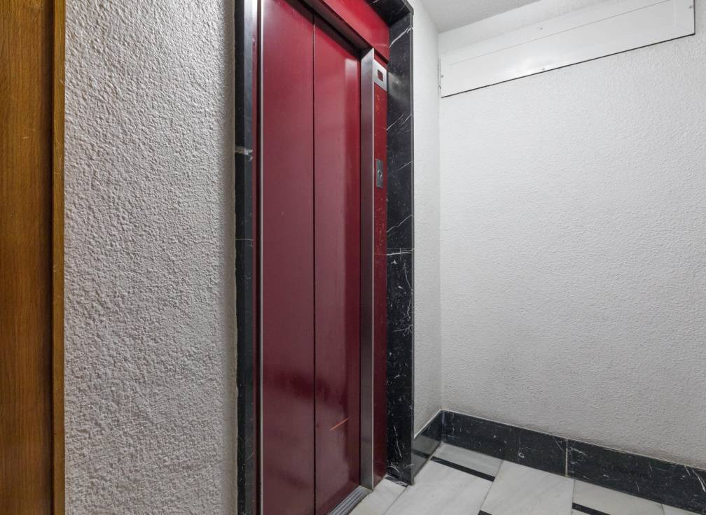 Segunda mano - Piso - Elche - Centro