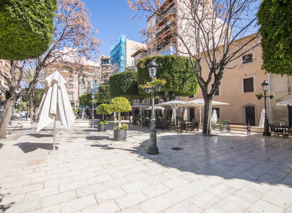 Segunda mano - Piso - Elche - Centro