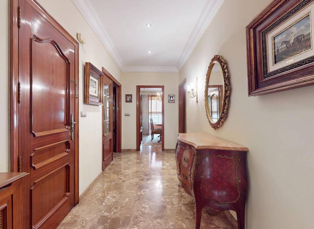 Segunda mano - Piso - Elche - Centro