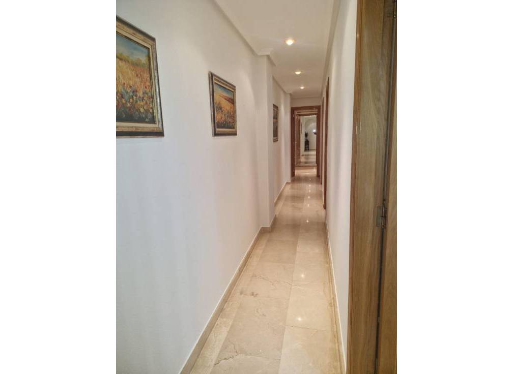 Segunda mano - Piso - Elche - Centro