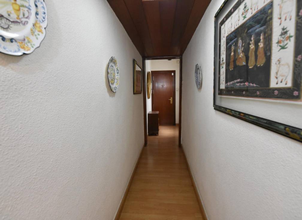 Segunda mano - Piso - Elche - Centro