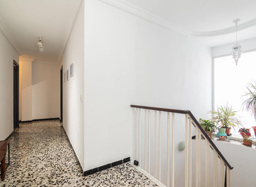 Segunda mano - Piso - Elche - Centro