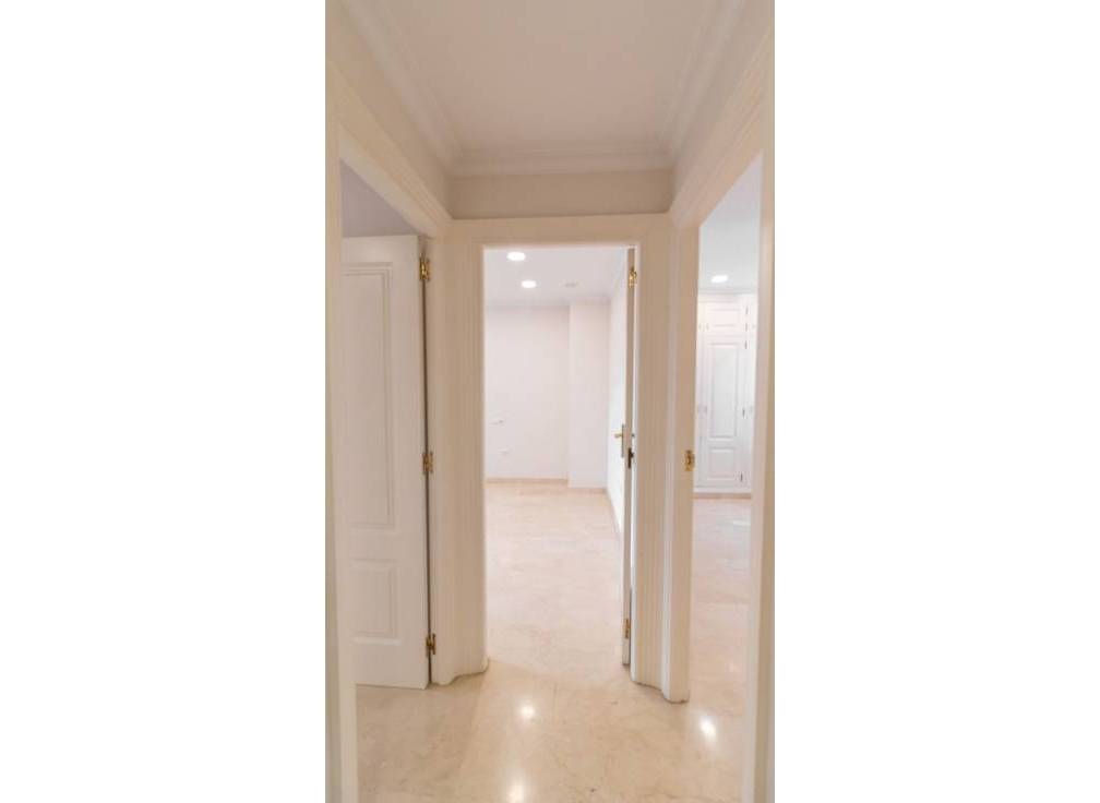 Segunda mano - Piso - Elche - Centro
