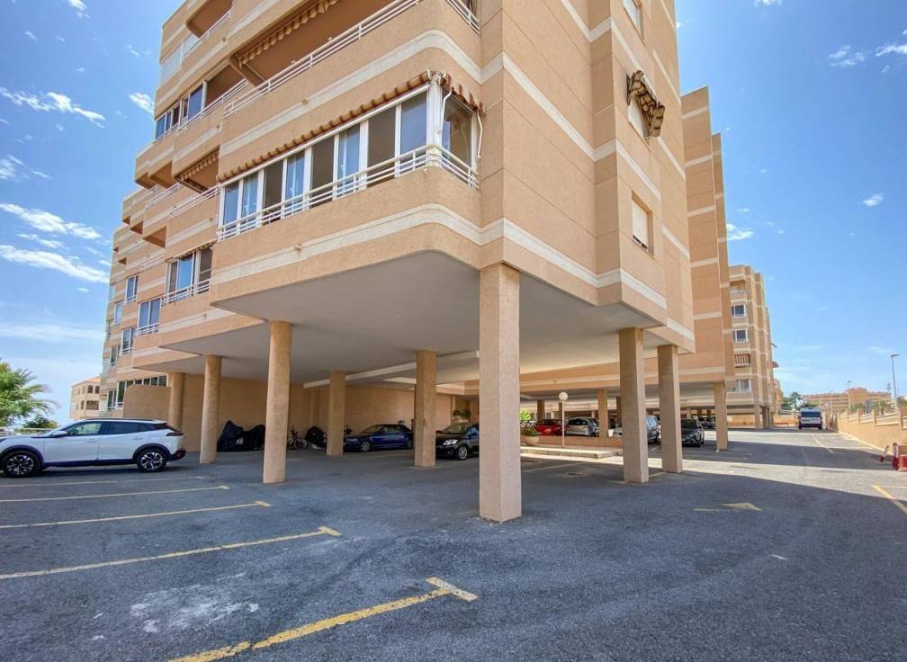 Segunda mano - Piso - Elche - Playa arenales del sol