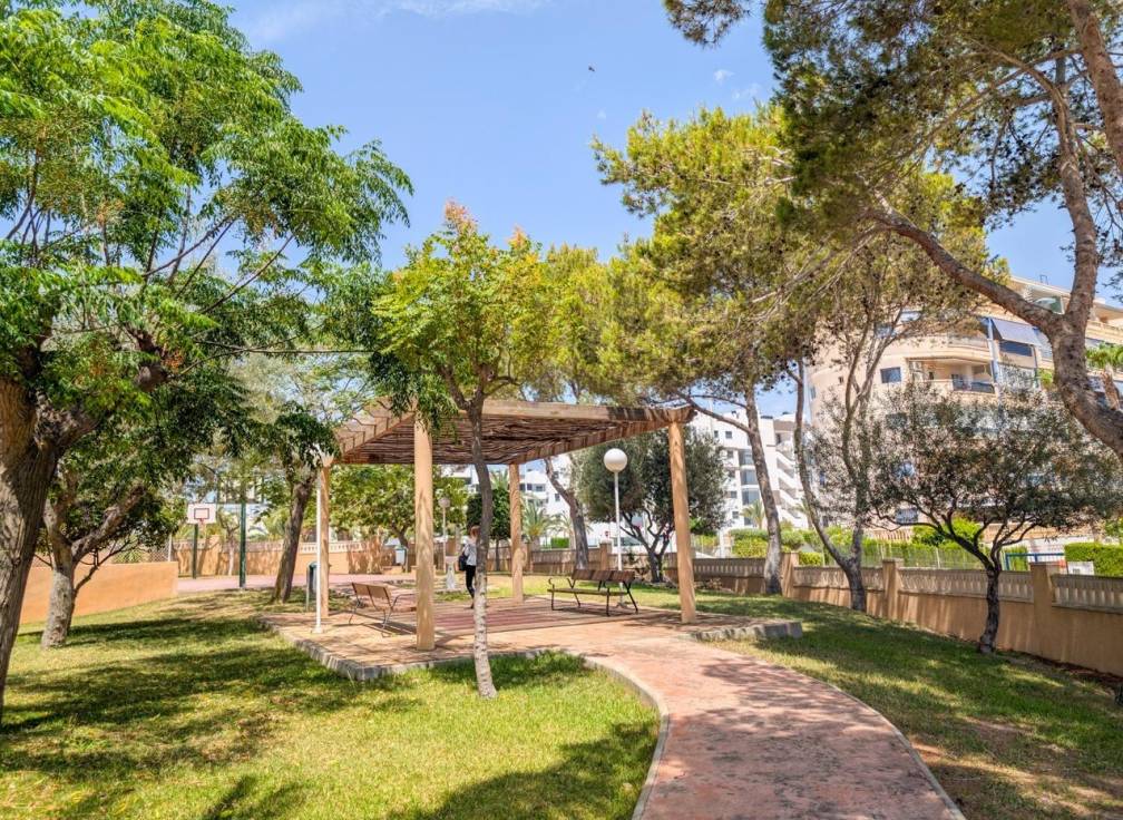 Segunda mano - Piso - Elche - Playa arenales del sol