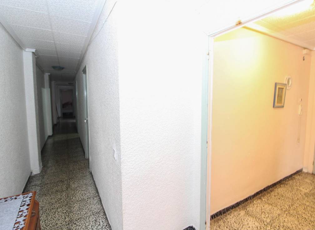 Segunda mano - Piso - Elche - Plaza Crevillente-Juzgados