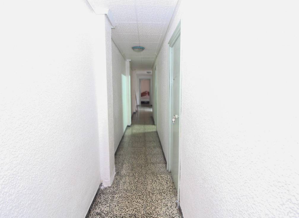 Segunda mano - Piso - Elche - Plaza Crevillente-Juzgados