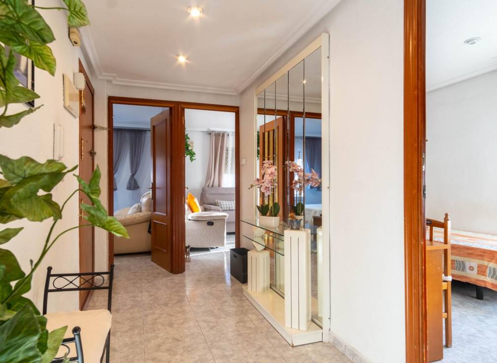 Segunda mano - Piso - Elche - Plaza Crevillente-Juzgados
