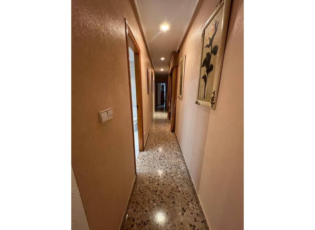 Segunda mano - Piso - Elche - Plaza Madrid