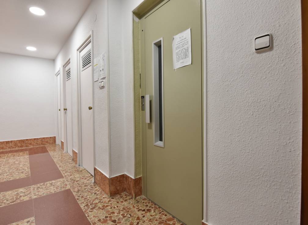 Segunda mano - Piso - Elche - San Crispín