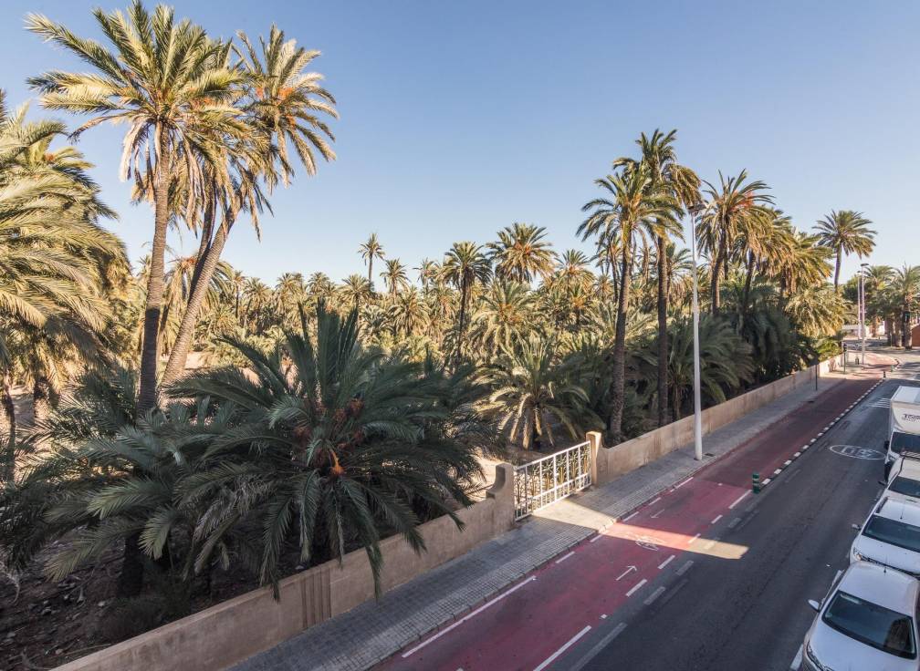 Segunda mano - Piso - Elche - Torreta - Portalada