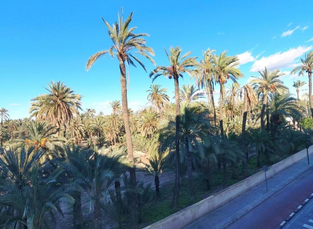 Segunda mano - Piso - Elche - Torreta - Portalada