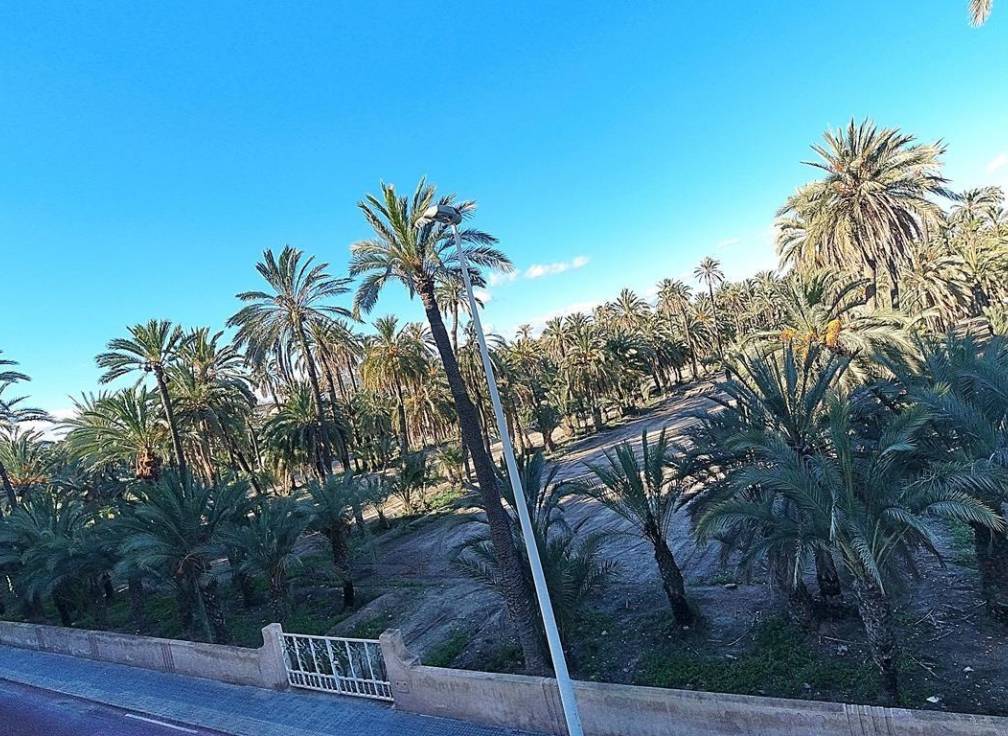 Segunda mano - Piso - Elche - Torreta - Portalada