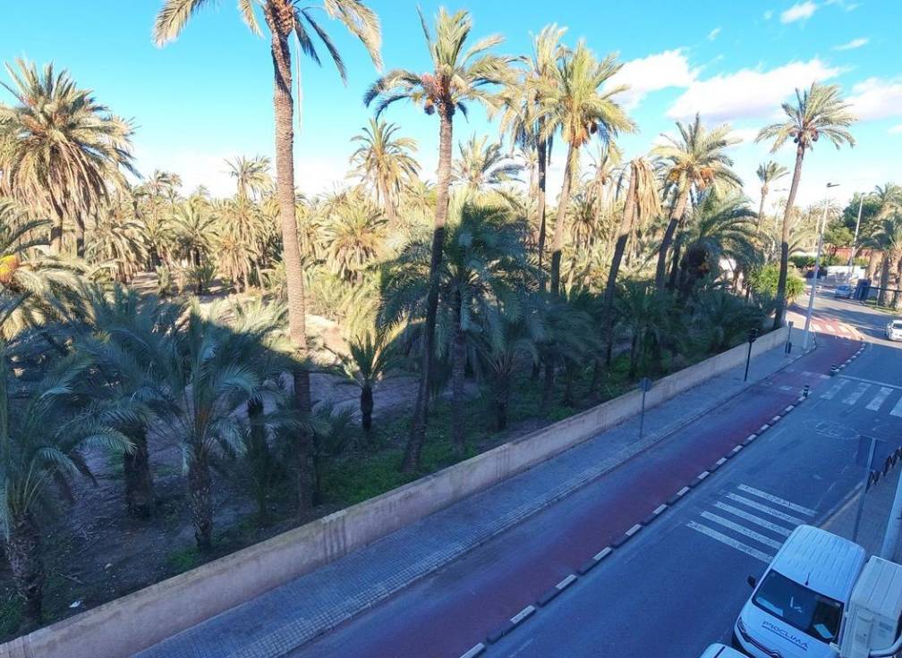 Segunda mano - Piso - Elche - Torreta - Portalada