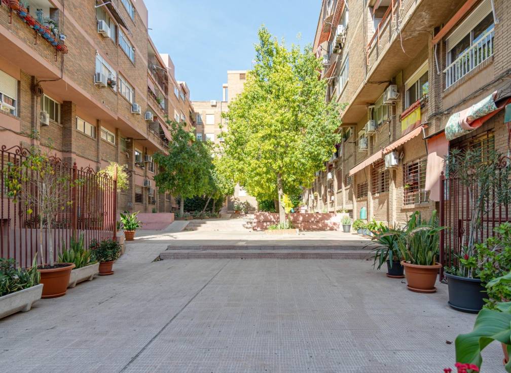 Segunda mano - Piso - Elche - Toscar