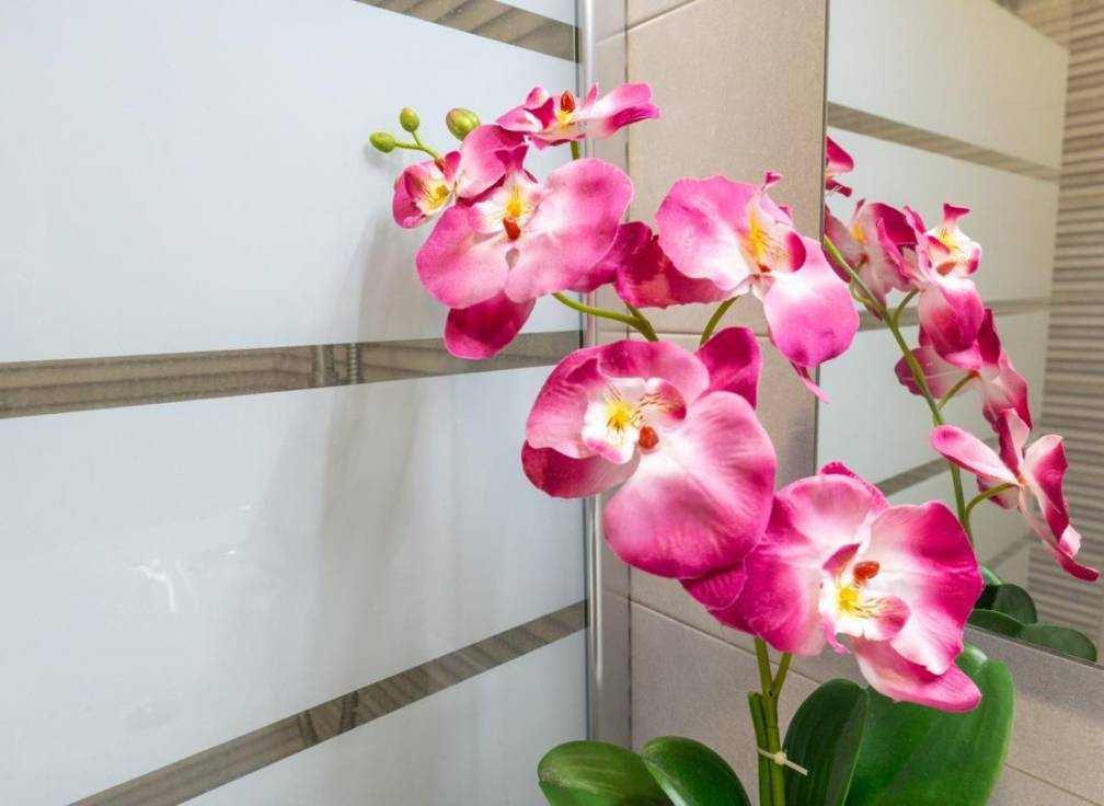 Segunda mano - Piso - Santa Pola - Playa Levante