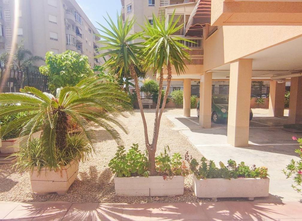 Segunda mano - Piso - Santa Pola - Puerto